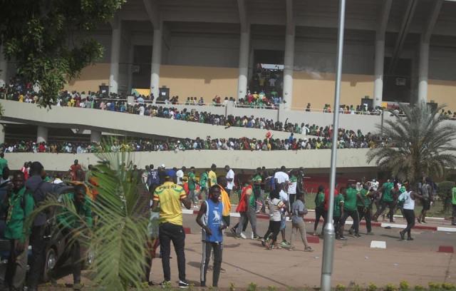 1648550380731007653.jpg 44.jpg